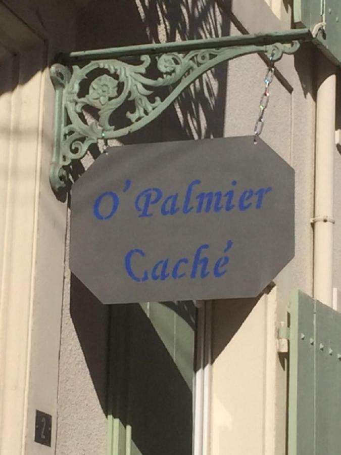 Saint-Marcel-sur-Aude O'Palmier Cache B&B 외부 사진